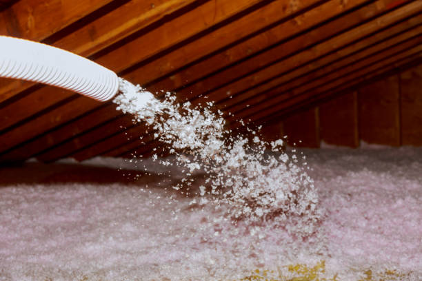 Best Insulation Installation Services in Hazen, ND